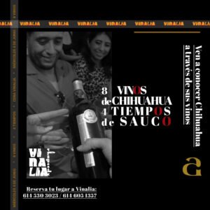 FLYER-VINALIA-2025-CENA